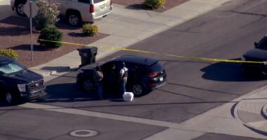 FBI opens investigation after driver allegedly rams ICE vehicle during Arizona traffic stop attempt