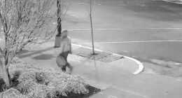 FBI releases new surveillance video of suspect who placed pipe bombs near DNC, RNC offices in DC