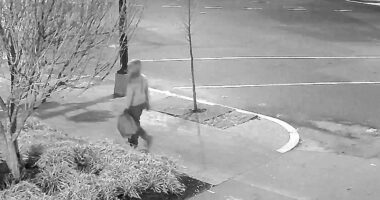 FBI releases new surveillance video of suspect who placed pipe bombs near DNC, RNC offices in DC