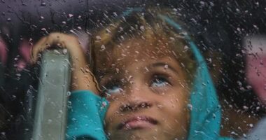 Falling tree kills baby as 'strongest ever' storm hits