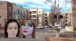 Family of woman stabbed 133 times outraged over bond ruling