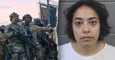 Far-left University of Chicago professor charged with violent felonies during anti-ICE riots in Broadview