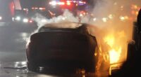 Fatal Tesla design flaws blamed for numerous driver deaths