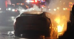 Fatal Tesla design flaws blamed for numerous driver deaths