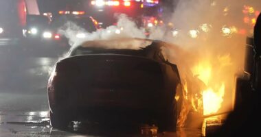 Fatal Tesla design flaws blamed for numerous driver deaths