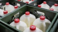 Federal SNAP benefits won't be paid in November: What happens next?