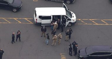 Feds arrest dozens of illegal aliens in sweeping New Jersey workplace raid