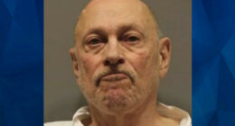 Felon Stabs Girlfriend to Death 5 Months After He Was Convicted of Domestic Violence on Her