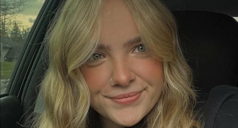 Female festivalgoer dies after being struck down in freak accident