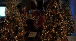 Festival of Trees unveils list of 2025 special events in Danville