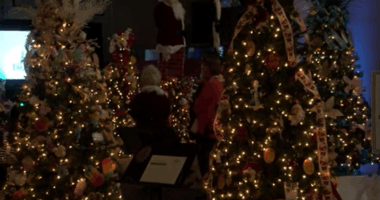 Festival of Trees unveils list of 2025 special events in Danville