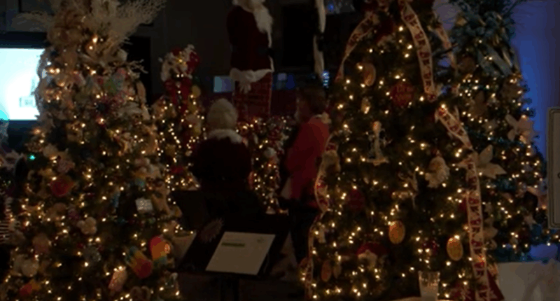 Festival of Trees unveils list of 2025 special events in Danville