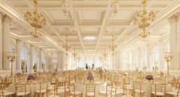 Fiery Democrat plots to tear Trump's ballroom down 'on day one'