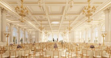 Fiery Democrat plots to tear Trump's ballroom down 'on day one'