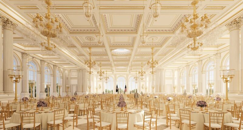Fiery Democrat plots to tear Trump's ballroom down 'on day one'