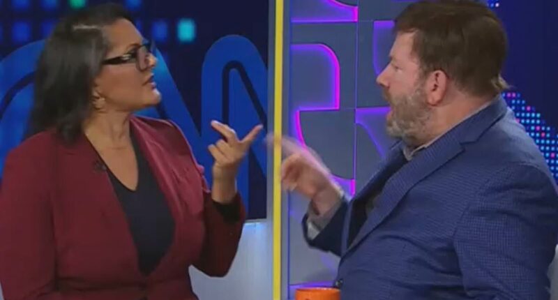 Finger-pointing war on CNN as liberal guest clashes with GOP pollster