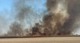 Fire departments, farmers put out corn field fire in Coles Co.