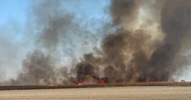Fire departments, farmers put out corn field fire in Coles Co.