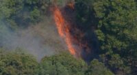 Firefighters are working to control a bushfire that is threatening properties in a community in Brisbane's north-west.ï»¿