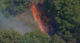 Firefighters are working to control a bushfire that is threatening properties in a community in Brisbane's north-west.ï»¿