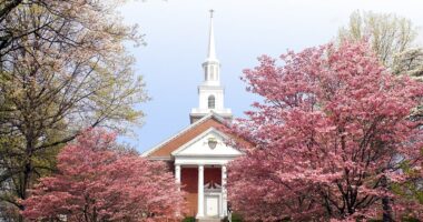 First college offers to join Trump's academic excellence compact after others nationwide dodge agreement