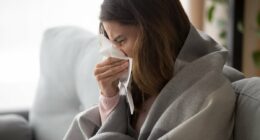 Five foods that will supercharge your immune system - and it's NOT all about VItamin C