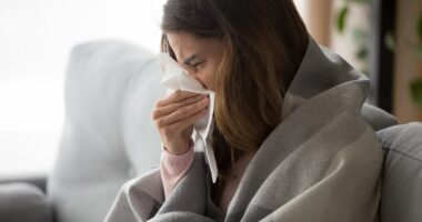 Five foods that will supercharge your immune system - and it's NOT all about VItamin C