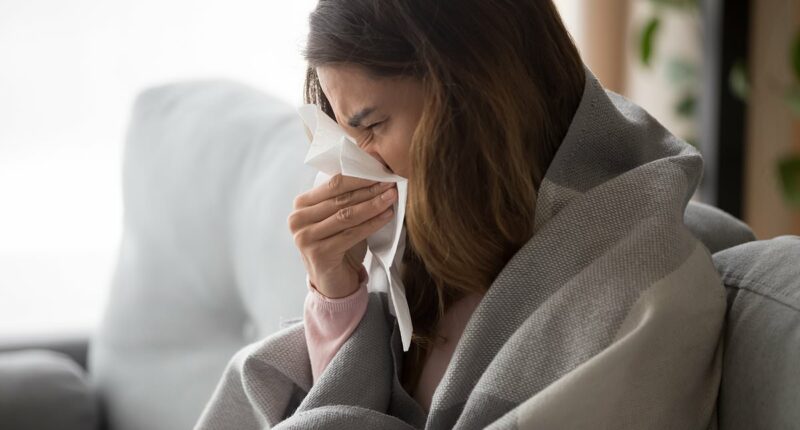 Five foods that will supercharge your immune system - and it's NOT all about VItamin C