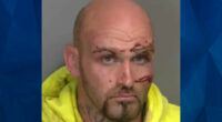 Fleeing Walmart Shoplifter Tries to Stab Cop With Screwdriver