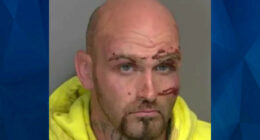 Fleeing Walmart Shoplifter Tries to Stab Cop With Screwdriver