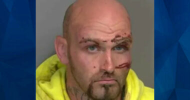 Fleeing Walmart Shoplifter Tries to Stab Cop With Screwdriver