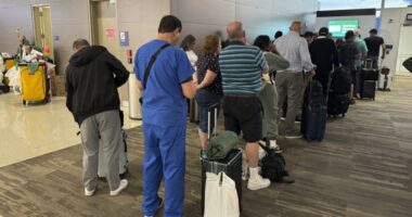 Passengers seek updates on their delayed flight at Louis Armstrong New Orleans International Airport, Aug. 6, 2025, in Kenner, La. (Jack Brooks, Associated Press)