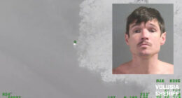 Florida Man Car-Jacks Good Samaritan, Tries Swimming to Freedom