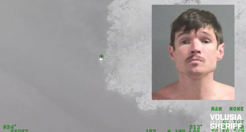 Florida Man Car-Jacks Good Samaritan, Tries Swimming to Freedom