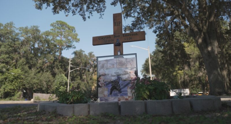 Florida mothers push for changes to DUI testing laws after crashes