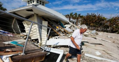 Florida reels from double blow of hurricane and insurance collapse