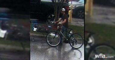 Florida teen arrested after shooting himself in staged abduction, deputies say