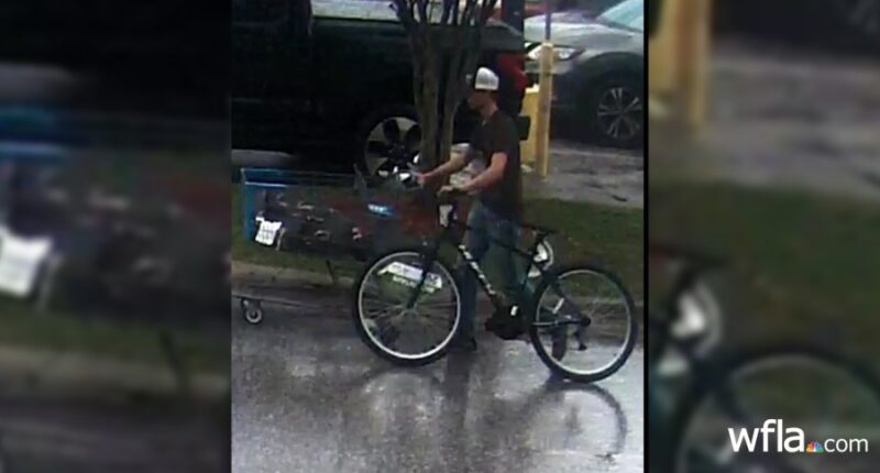 Florida teen arrested after shooting himself in staged abduction, deputies say