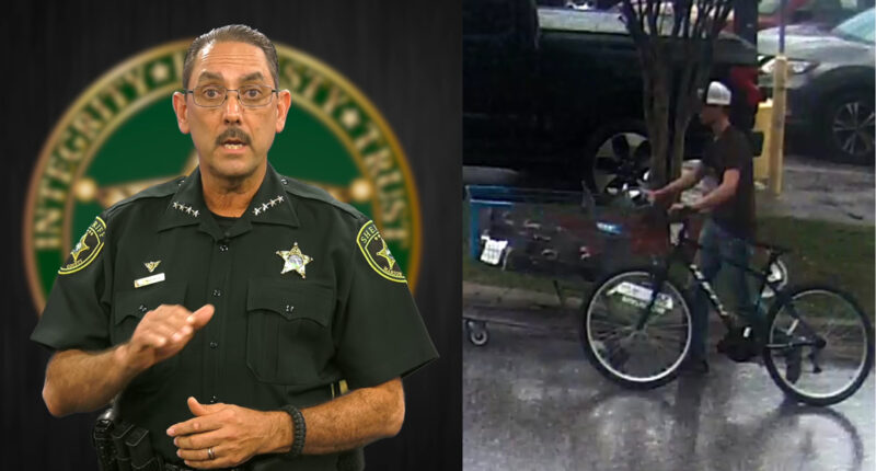 Florida teen arrested weeks after he 'made up' that he was missing