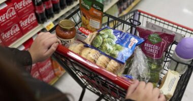 Food aid is safe this month, but shutdown could put it at risk in November