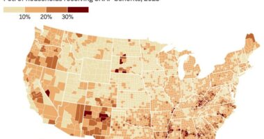 Food banks brace for surge as federal food aid pause looms amid government shutdown
