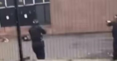 Footage shows moment before 'knifeman' after synagogue 'terror attack'