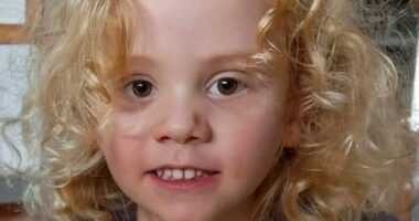 Missing four-year-old Gus