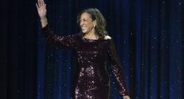 Former Vice President Kamala Harris leaves door open for 2028 presidential run, according to new BBC interview