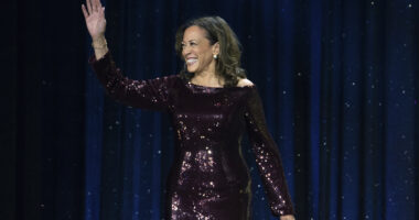 Former Vice President Kamala Harris leaves door open for 2028 presidential run, according to new BBC interview