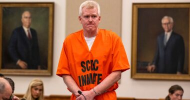 Fox News True Crime Newsletter: Alex Murdaugh's empire, BTK's family fallout, Bryan Kohberger's money woes