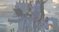 Freed Palestinians met by cheering crowds in Gaza