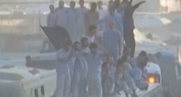Freed Palestinians met by cheering crowds in Gaza