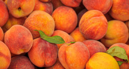 Fresh peaches sold across US recalled over listeria risk