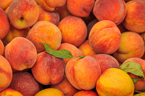 Fresh peaches sold across US recalled over listeria risk